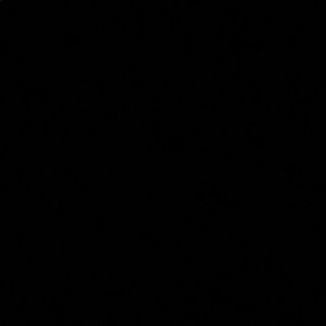 Meet your Posher, Noemi